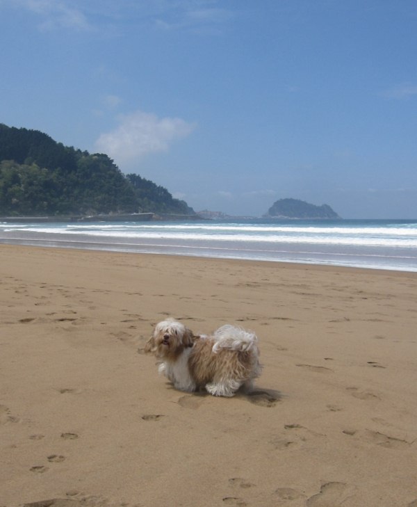 Pays basque espagnol