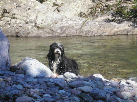 ça y est : je me suis jeté à l'eau !!!