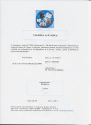 Attestation cotation 2