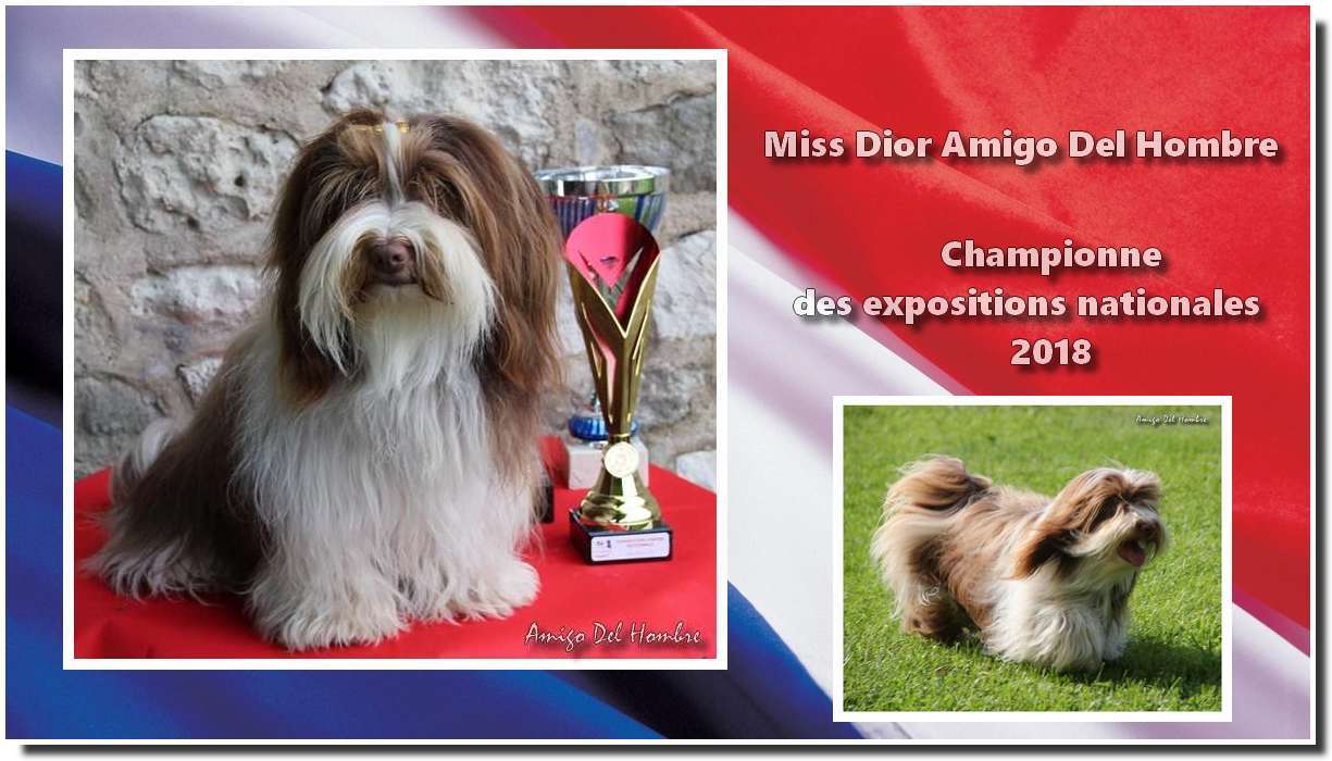 Dior championne 1