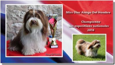 Dior championne