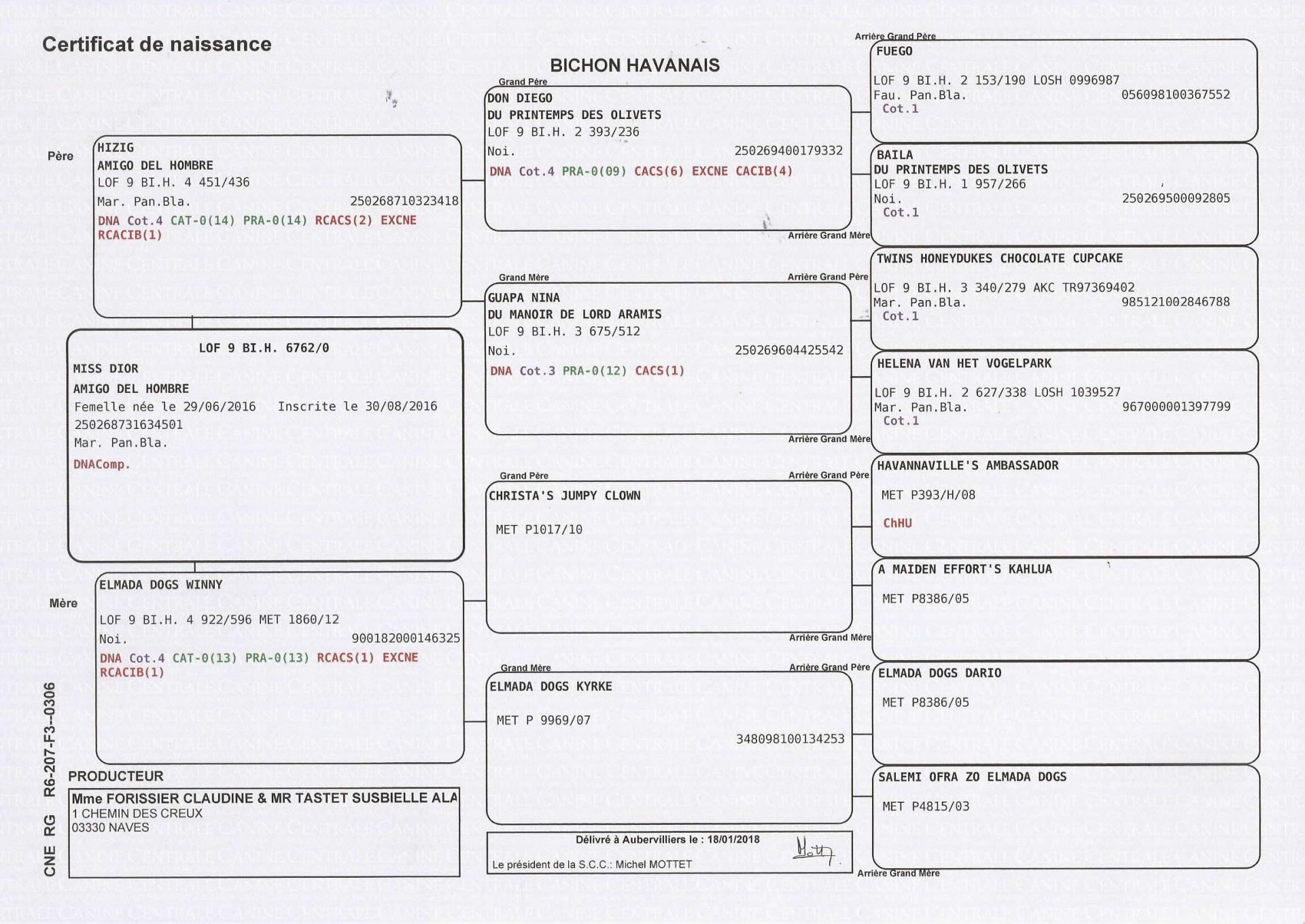 Pedigree offic 1